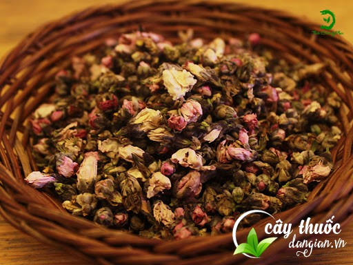 Trà hoa đào rất tốt cho sức khỏe và làm đẹp